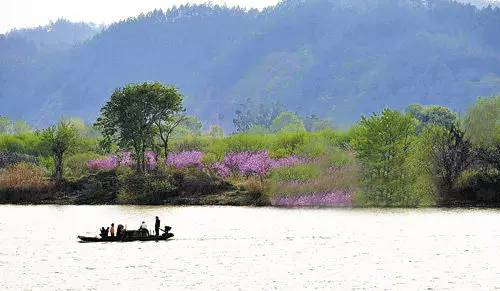 桃花岛位于赣县湖江乡洲坪村,距县城30公里,一条宽6.