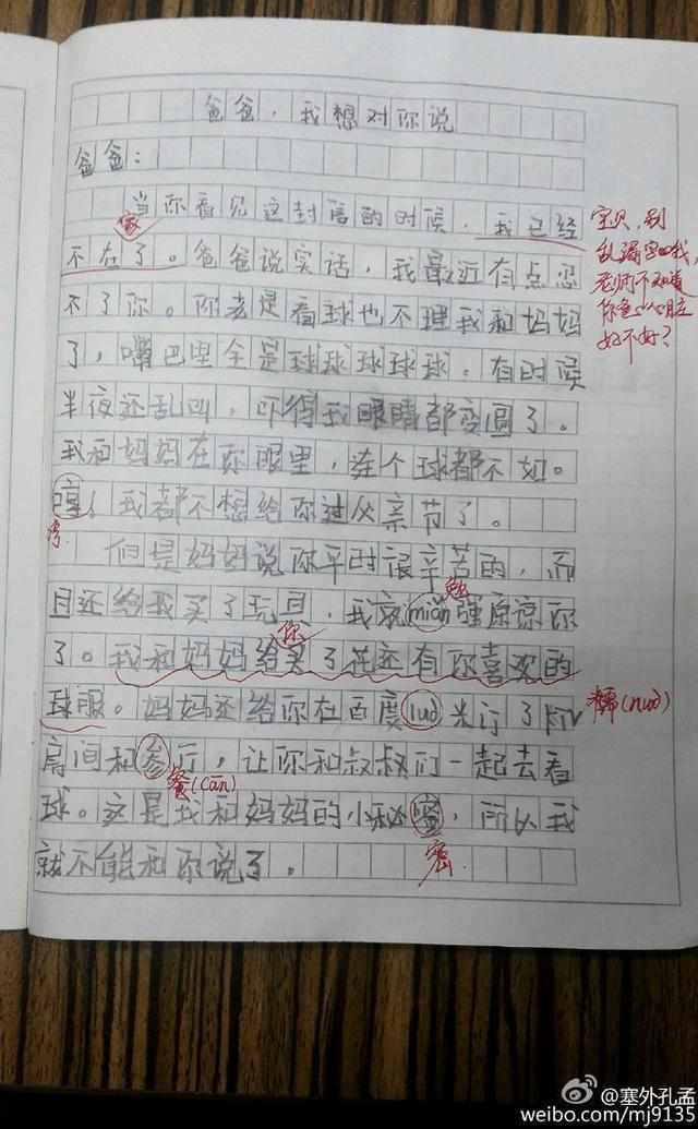 {我的球迷爸爸作文}.