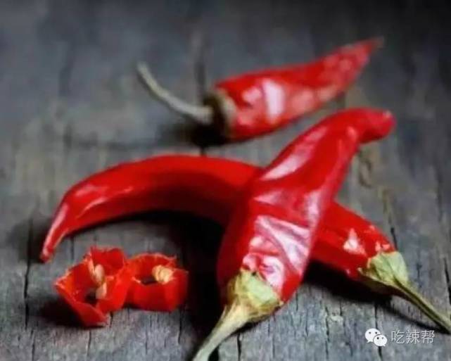 辣是一种特神奇的食物,吃了痛,吃了再不吃更痛