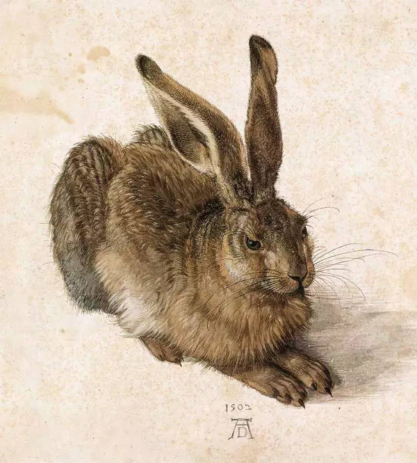兔子为什么被视为淫欲的象征?