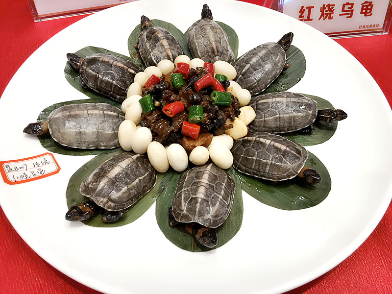 首届荆楚美食节暨楚味·荆州烹饪技能大赛举办