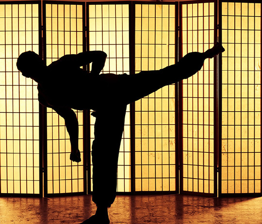 从日本的崇尚武士道精神,看武术对现代人的影