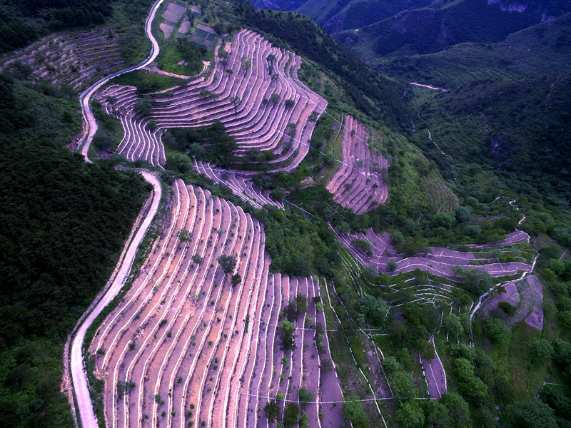 蒲洼花台,低十度的避暑胜地