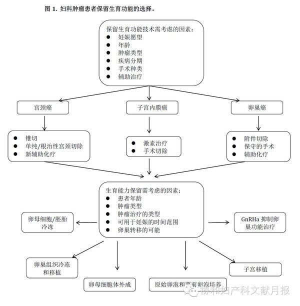 靳琼:辅助生殖技术在妇科恶性肿瘤保留生育功能治疗中