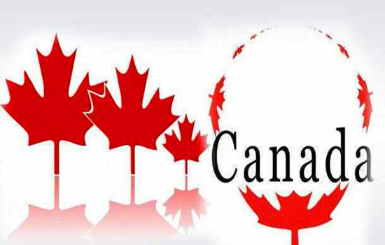 深度解析:加拿大对外英语教学TESOL-最新教