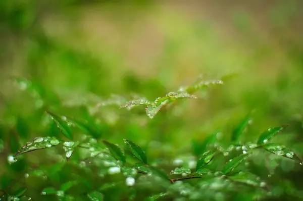 梅雨季到了,风湿病人该如何保养?