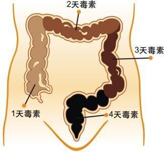 吃了酵素不排便怎么办