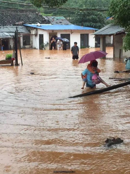 彭泽县杨梓镇乐观街也积满了雨水.