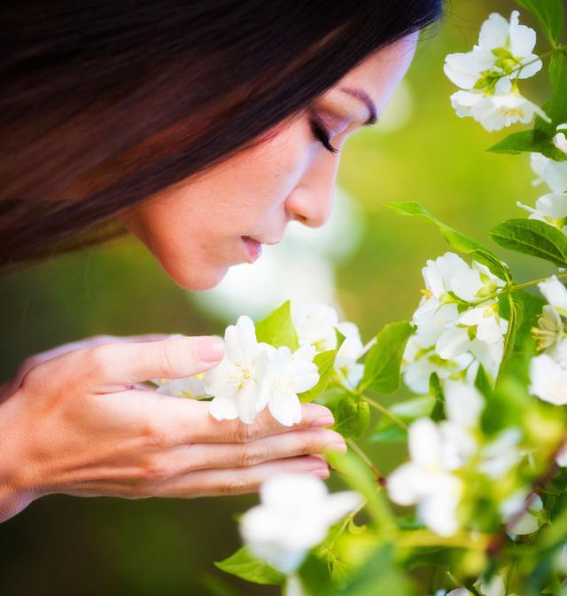 多闻花香———植物和花卉可舒缓神经紧张,给人带来轻松愉快的好心情.