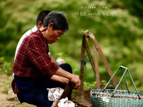 隐居山林,田园牧歌,这世上竟然真的有神仙眷侣