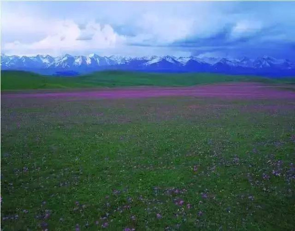 新疆旅游全攻略,最美景点最全记录!