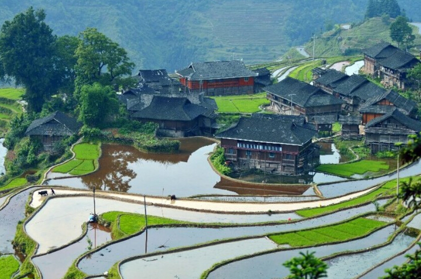 国内十大最美梯田旅游景点大盘点!