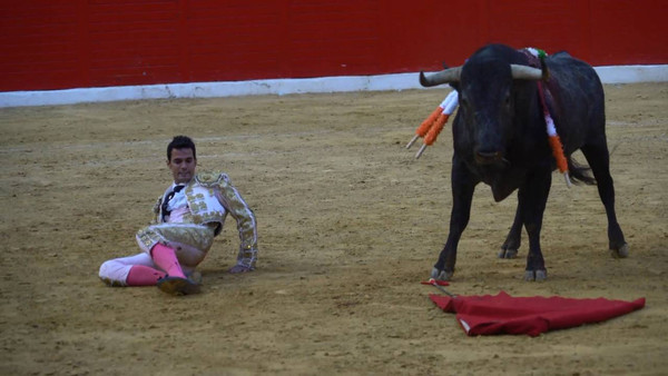 好不容易来西班牙看场斗牛,结果牛赢了-搜狐旅