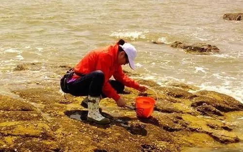 跟着河南人游山东日照--坐着火车去海边吃海鲜