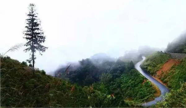 鹤庆县田屯村有多少人口_鹤庆县黄坪镇向石村