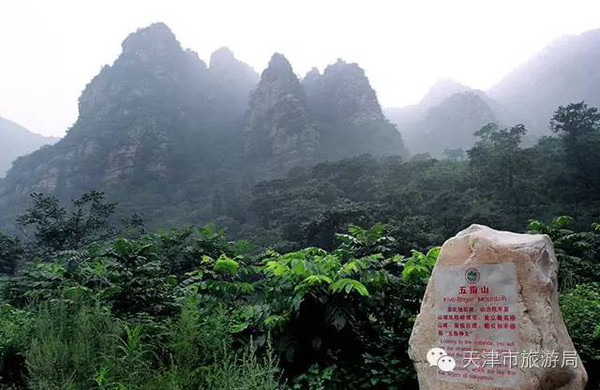 走进北方神农架,赴山水梨木台传奇之约