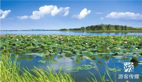 铁岭莲花湿地