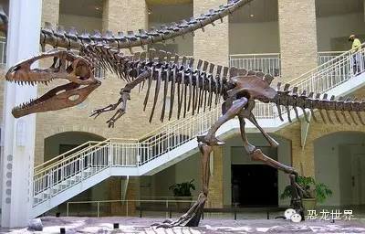 南方巨兽龙:南美洲巨型食肉恐龙