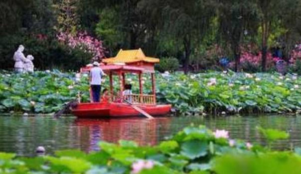 让我们荡起双桨~细数京城划船赏景的好地方!