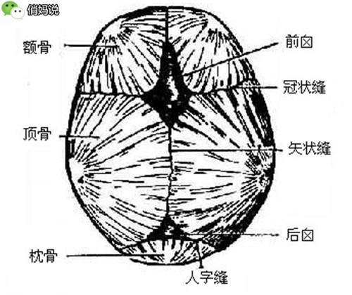 宝宝的囟门越晚闭合越聪明?小小命门学问真不少!