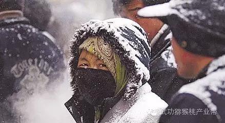 2008年南方雪灾