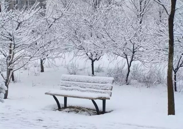 徐则臣:如果大雪封门,这世界会是什么样子?