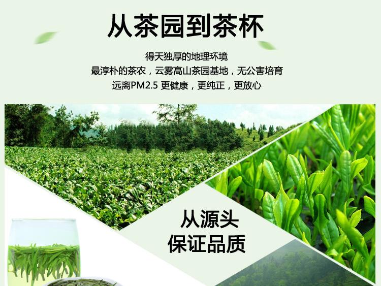 贵州仙岭翠芽锌硒绿茶制作过程 - 微信公众平台