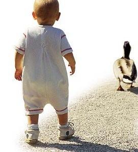 1岁宝宝走路像鸭子,这些土法能治八字脚?