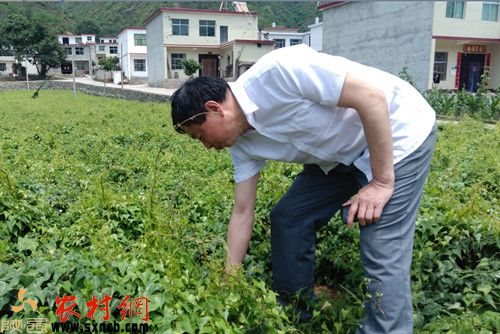 姚楼村第一书记刘祥平多元化产业促进精准扶贫