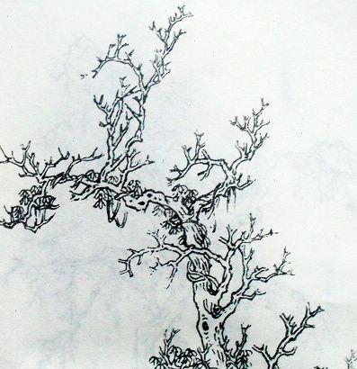 国画树木的绘画技法图文详解