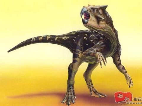 鹦鹉嘴龙:白垩纪草食恐龙