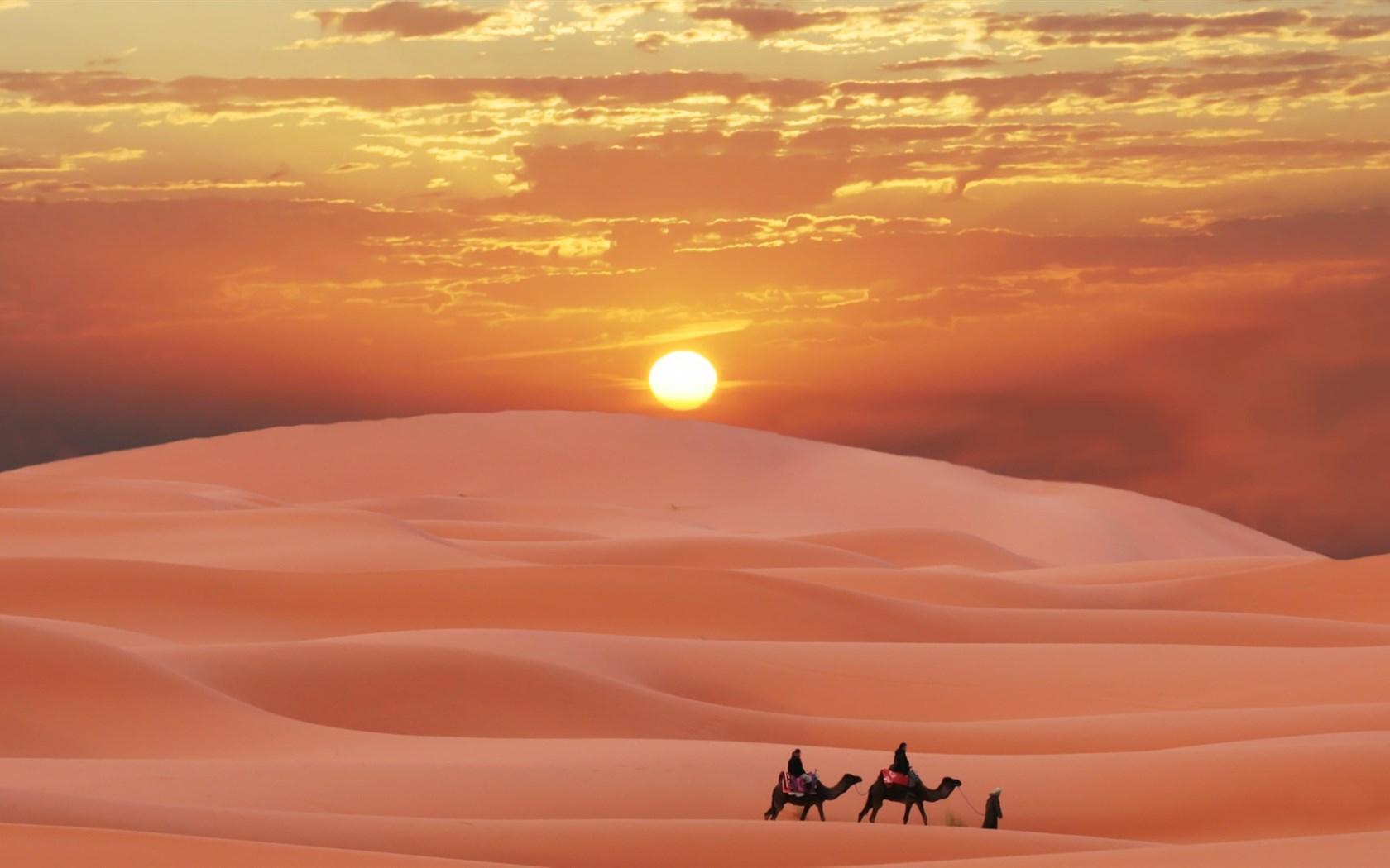 世界阳光照射最多的地方是撒哈拉沙漠-搜狐