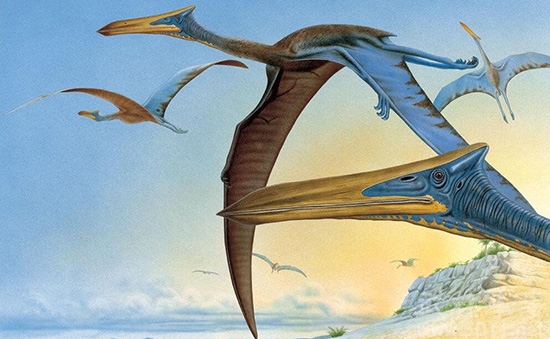 其它 正文  风神翼龙(quetzalcoatlus)是一种翼手龙,也叫披羽蛇翼龙