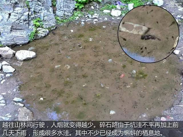 京西挖水晶之旅重温进口大众tiguan多面镜