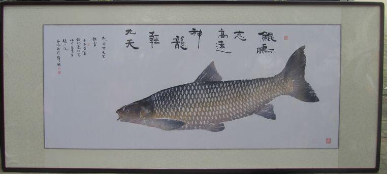 水库钓上三条百斤青鱼,请来大师活鱼拓画