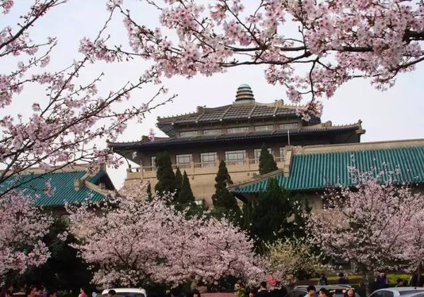 其实秋天的武大红叶银杏 亦是一番风景 厦门大学 《一起来看流星雨》