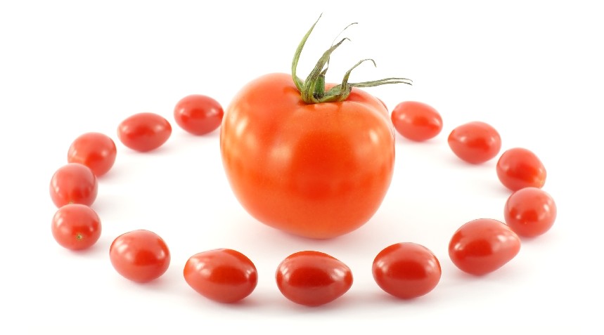 夏天怎么吃西红柿更美白