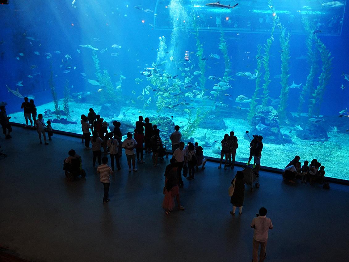 澳大利亚悉尼水族馆_价格_海外门票价格_优惠预订_同程旅游