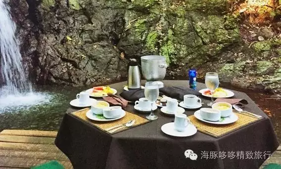 吃货宝宝们，来和哆哆分享你们的美食经吧！