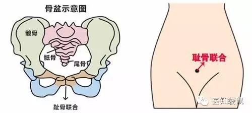 产检必须要懂的:胎心、宫高、腹围