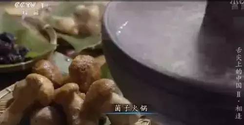 △在楚雄:品尝舌尖上的中国2第五集美食——云南野生菌火锅