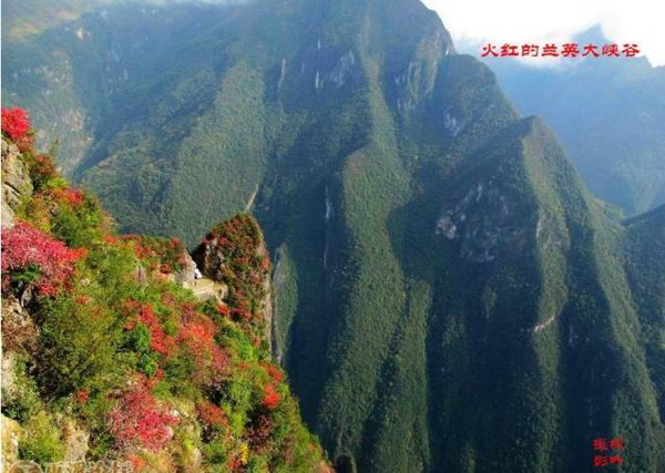 奉节城区人口_重磅消息 奉节县城区学校选调教师149名(2)