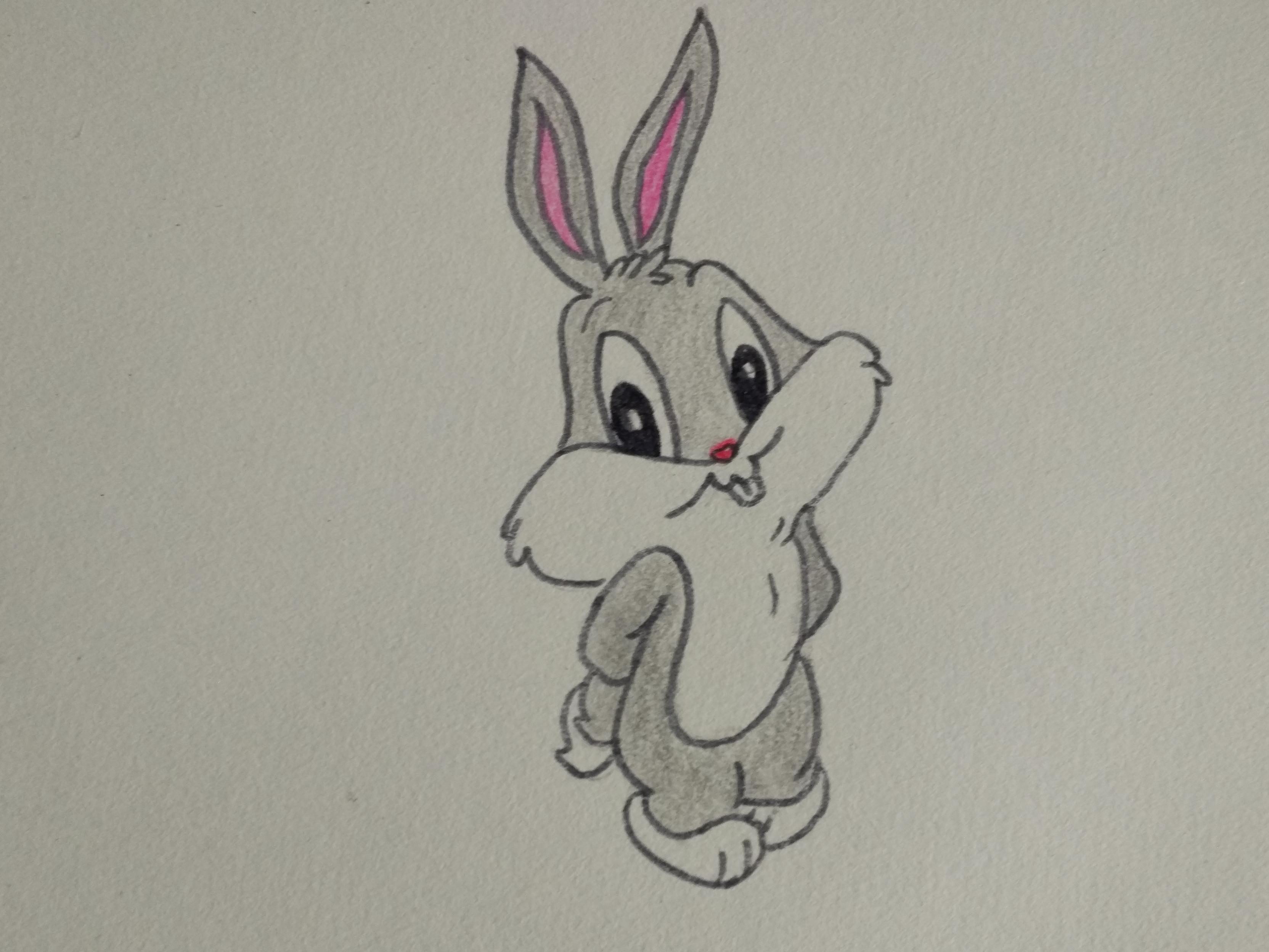 简笔画:卡通小兔子       