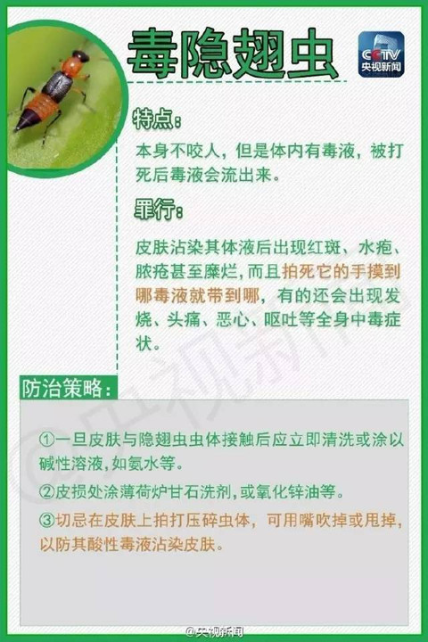 被飞蚁咬了刺痛怎么办