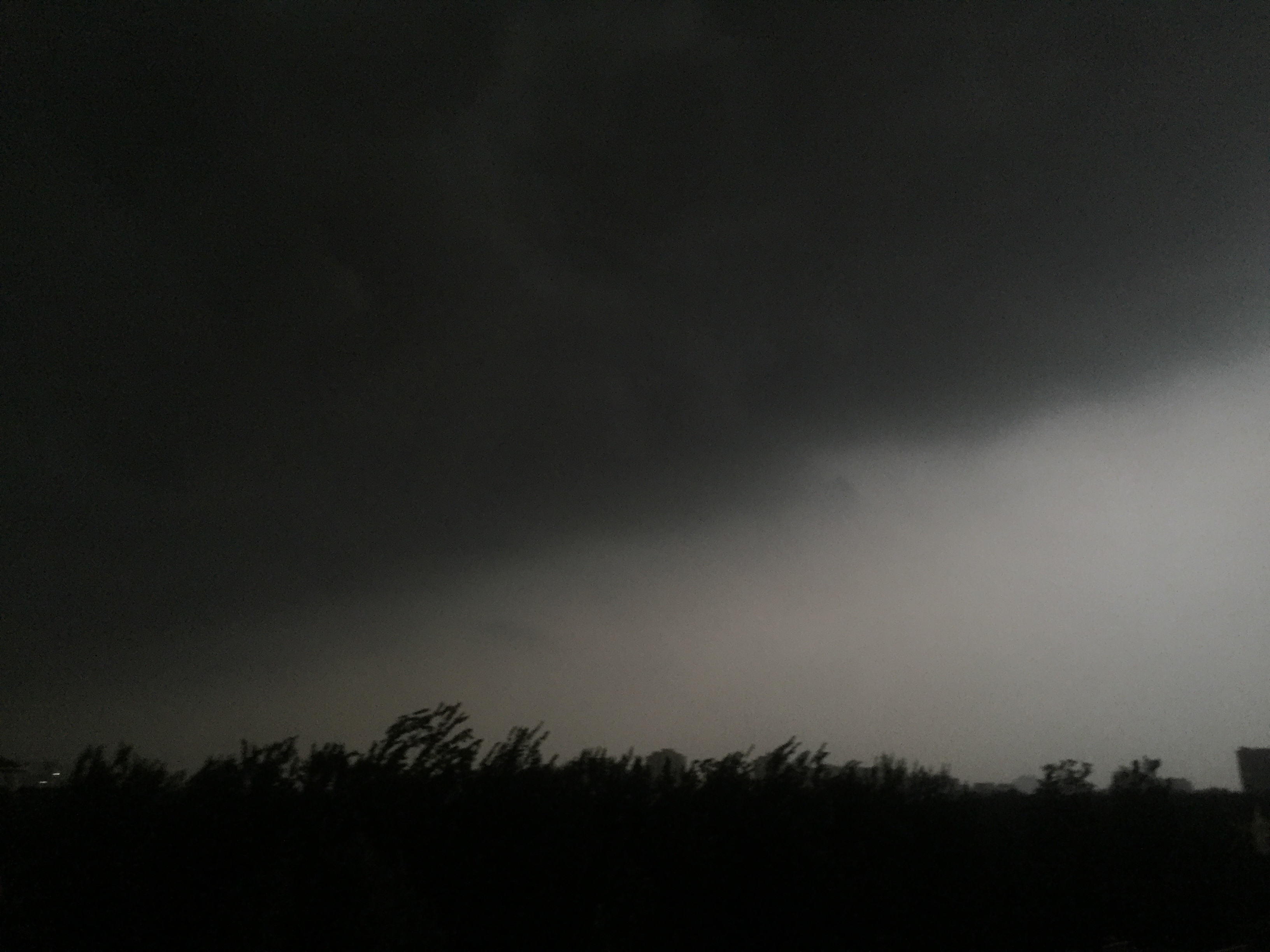 暴雨突袭青岛黑云压城似独立日,青岛农大树倒舍破