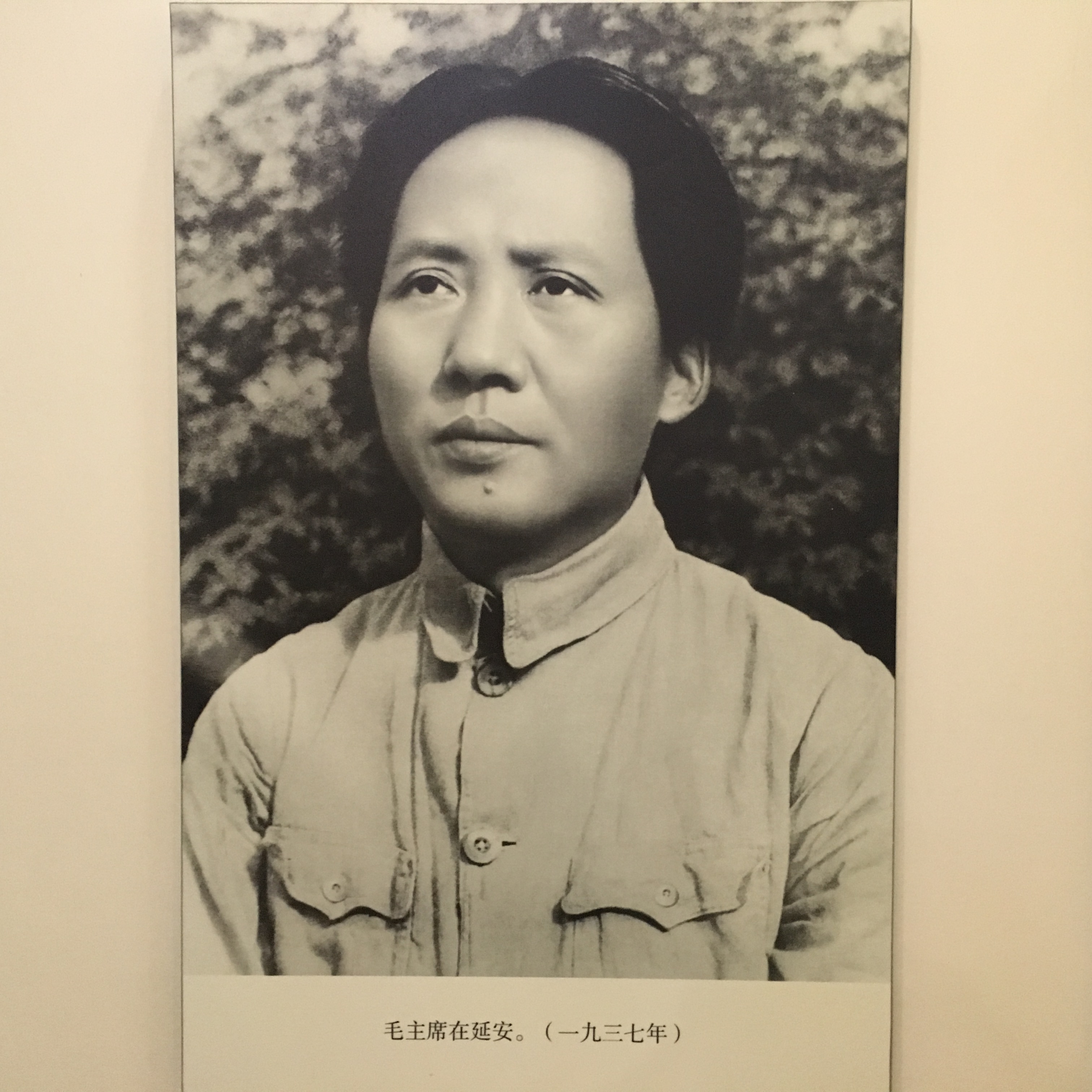 20张湖南印刷伟大的领袖和导师毛泽东主席毛主席标准像_年画/宣传画_图片收藏_回收价格_7788老照片