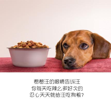 狗狗盐吃多了怎么办