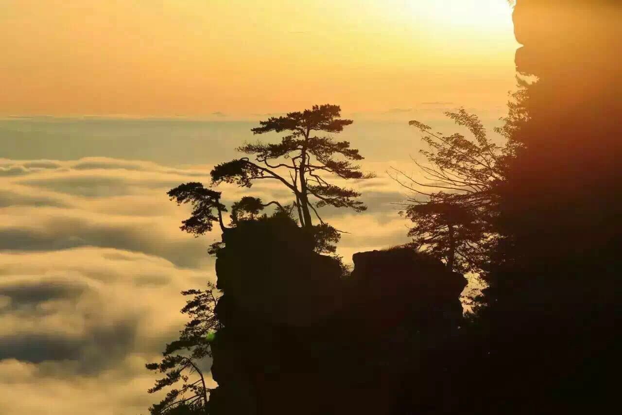 张家界自由行旅游攻略 有种景色叫做雨季过后