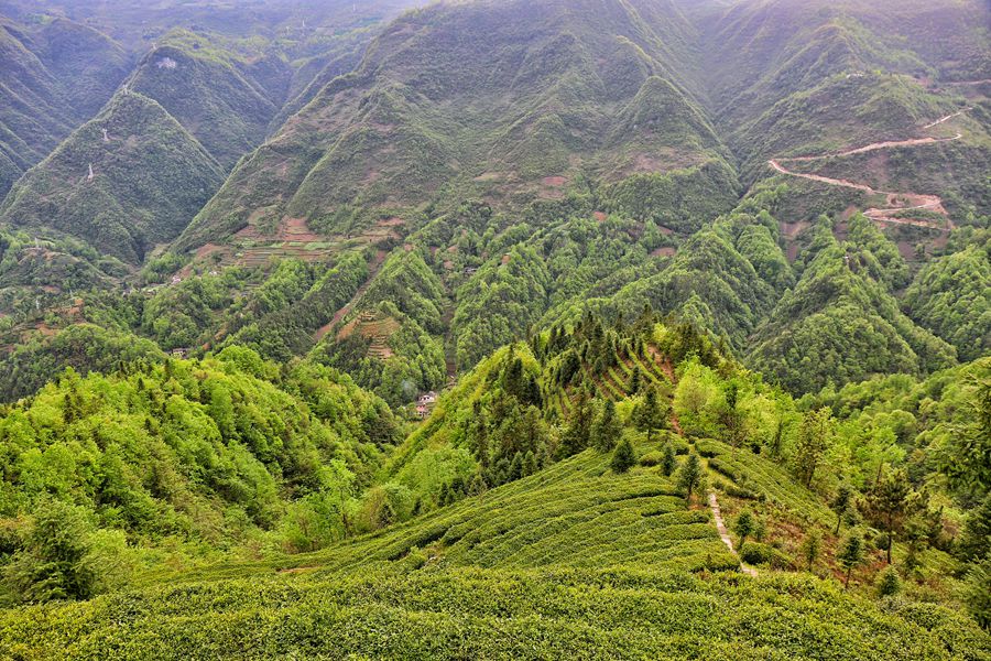 陕西旅游镇巴打造陕西唯一苗族风情旅游全攻略