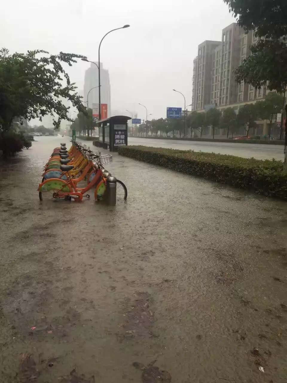 连日暴雨 宜兴城区出现"悬河"